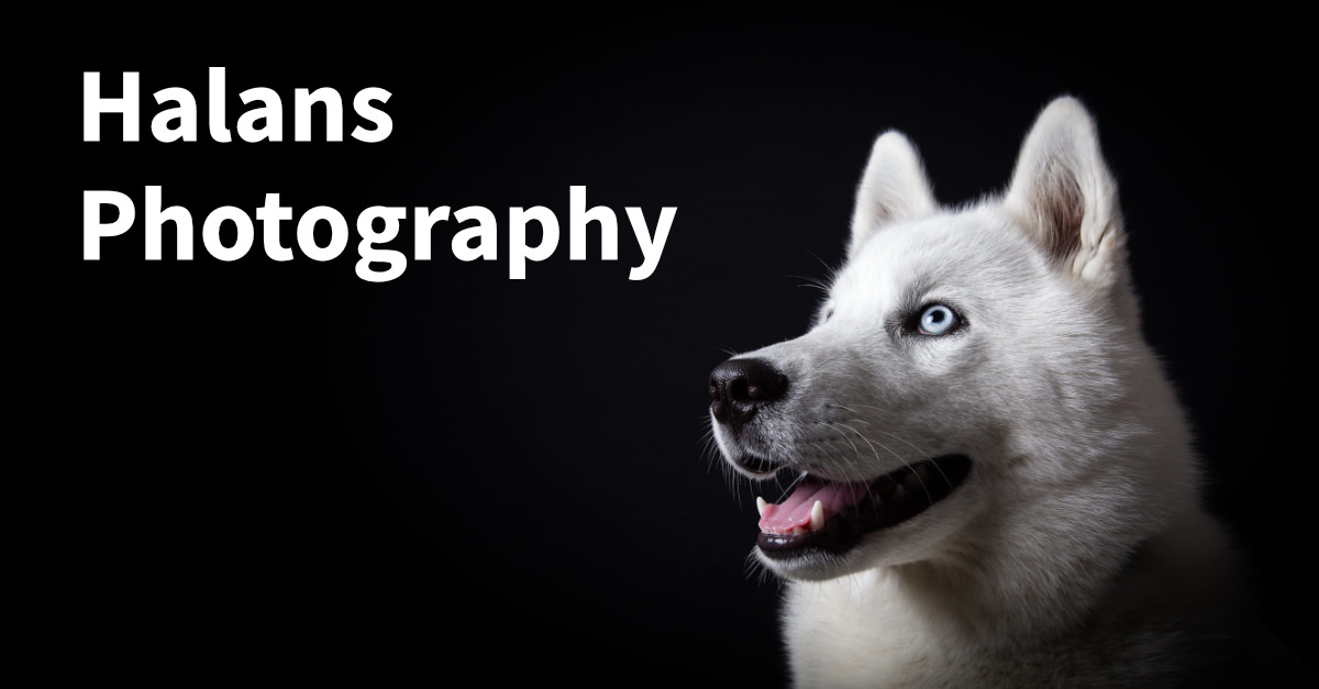 Preview image published by halans.photography